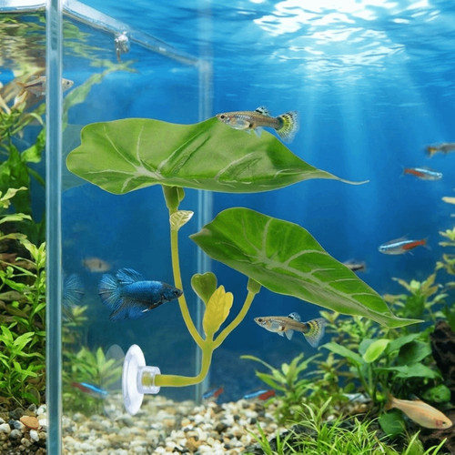 Simulated lotus leaves betta - simulated,