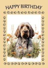 ITALIAN SPINONE DOG & FLOWERS