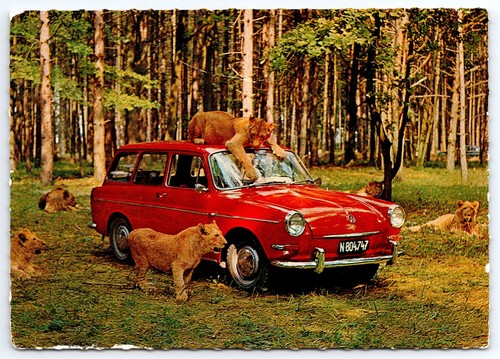 Vintage auto safari - vintage, auto-safari