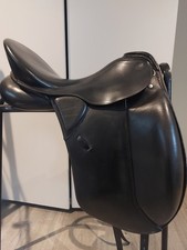 Kieffer Lusitano Black