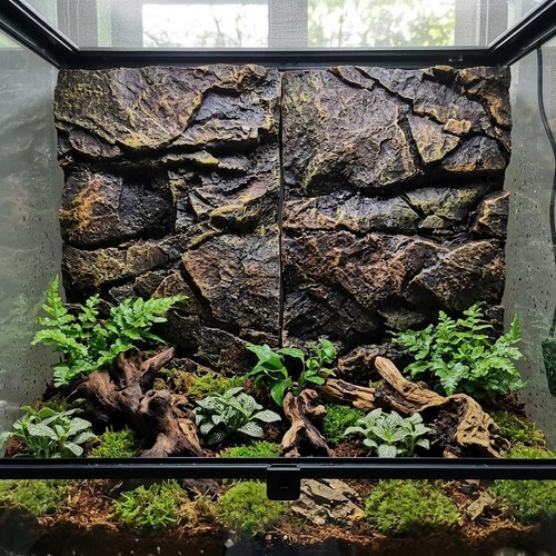 Rock aquarium background - aquarium,