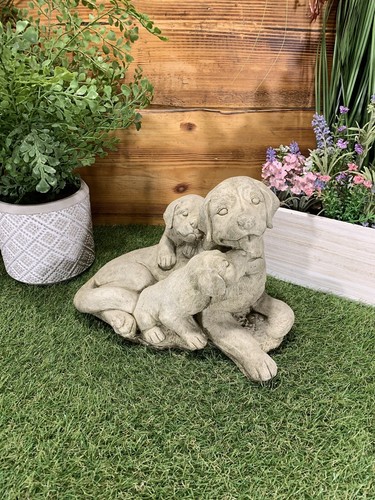 Stone garden labrador - labrador, dog