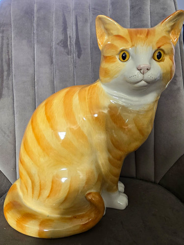 Just cats co - co, staffordshire