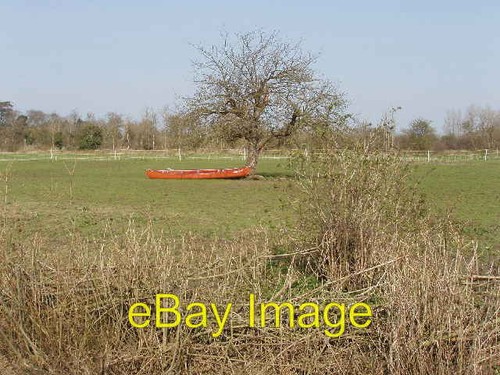 Photo 6x4 canadian canoes - canoes, in