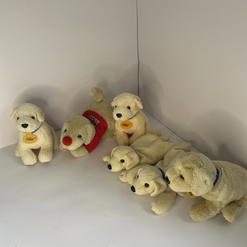 Bundle golden labrador - golden,