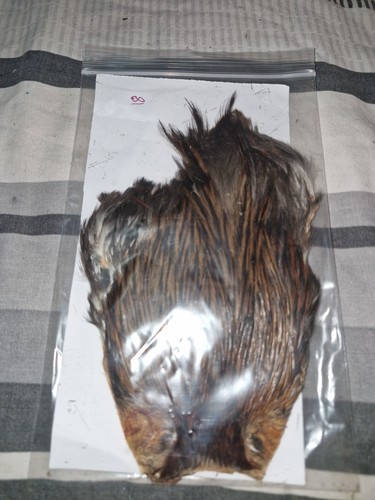 Cock cape fly tying - cock,