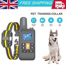 Electric Dog Pet Training