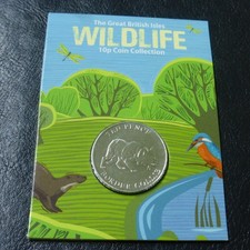 Border Collie & Herdwick Sheep