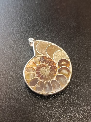 Genuine fossil natural - fossil,