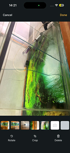Aqua oak 180cm glass - aqua,