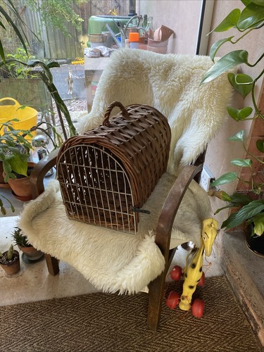 Vintage wicker basket pet - vintage,