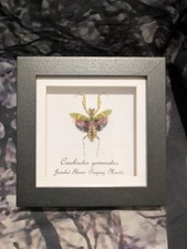 Jeweled Flower Praying Mantis