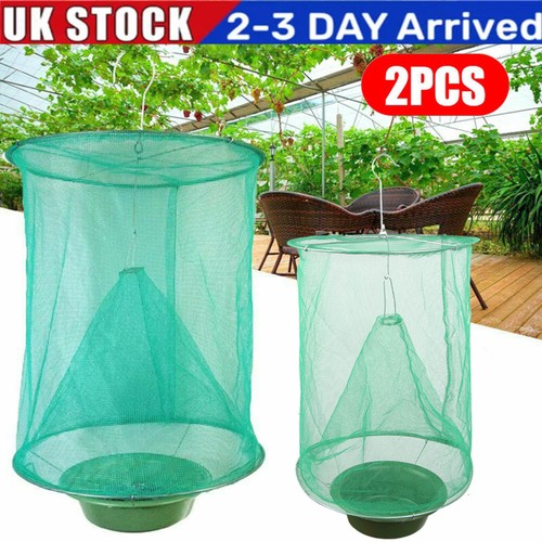 2pack fly trap - 2pack,