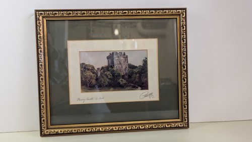 Blarney castle county cork - blarney,