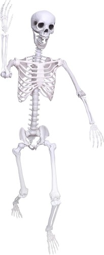 9ft halloween skeleton - halloween,