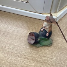 BORDER FINE ARTS STUDIO MOUSE