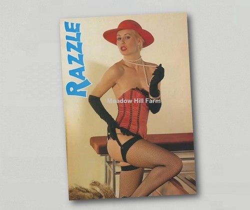 Fridge magnet adult magazine - fridge,