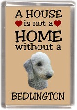 Bedlington Terrier Dog Fridge Magnet "A HOUSE IS NOT A HOME" by Starprint