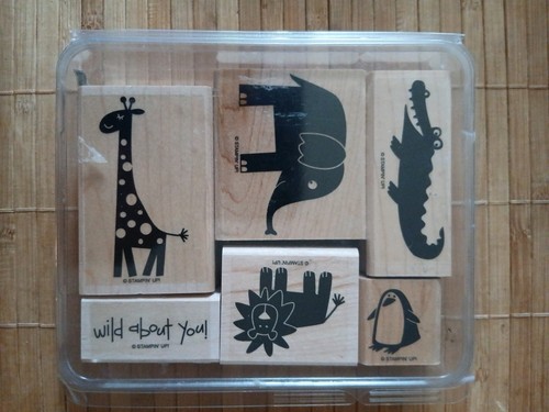 Stampin wild about you - up!,