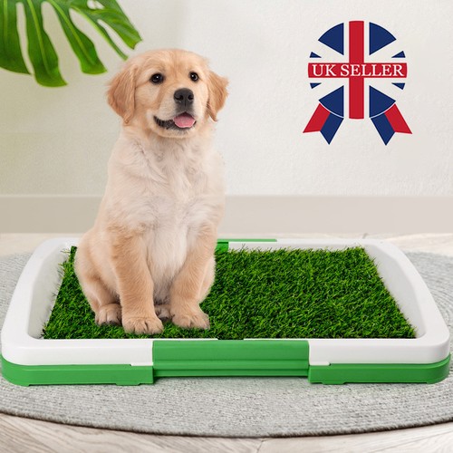 Large pet dog - toilet, mat