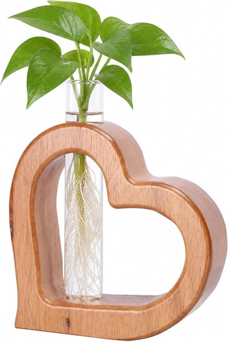 Plant propagation stations - plant,