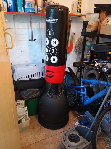 Free standing boxing - punch, bag
