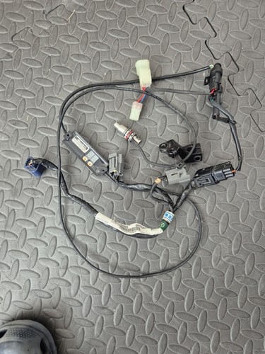 Woolich racing quickshifter - woolich,