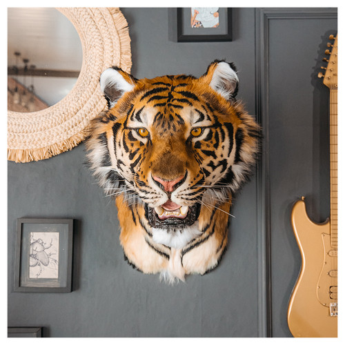 Faux taxidermy tiger wall - taxidermy,