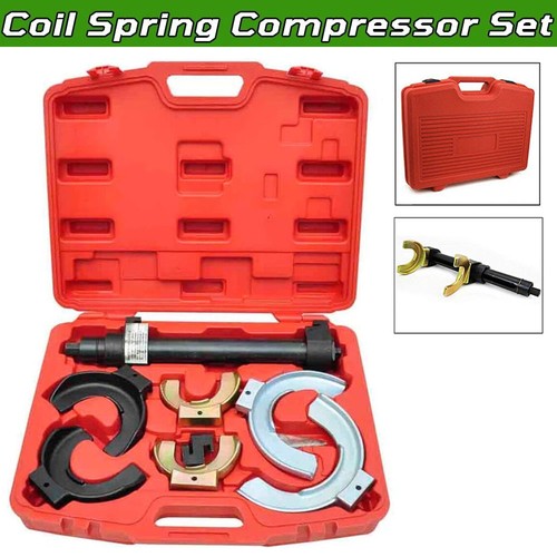 Universal strut spring - strut,
