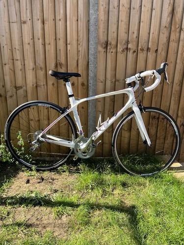 Giant carbon liv - giant,