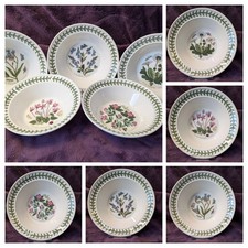 Portmeirion Botanic Garden