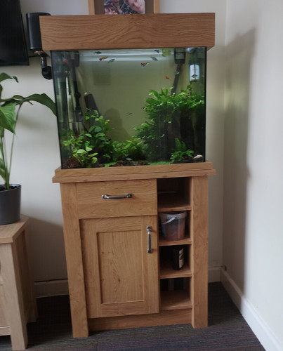 Fish tank aqua one - tank,