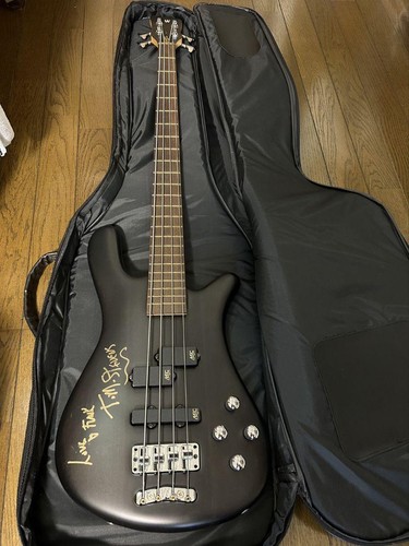 Warwick streamer electric - streamer,