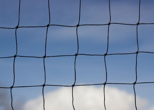 Anti bird net 38mm poultry - bird,