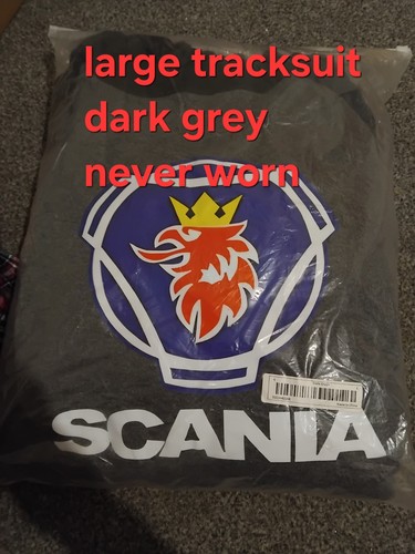 Scania men grey - men's,