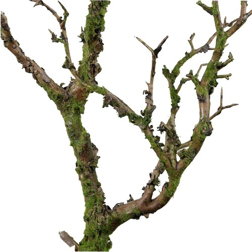 Wildwood artificial tree - wildwood,