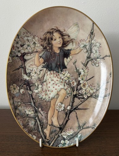 Royal worcester flower fairies - worcester,