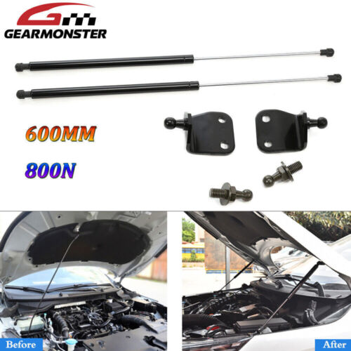 Universal gas struts - 2x,