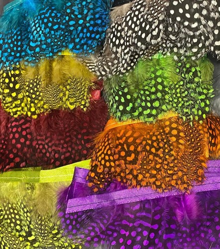 Guinea fowl feathers super - fowl,