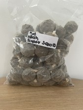 Nash Scopex Squid Fishing