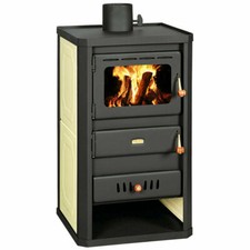 Wood burning stove boiler