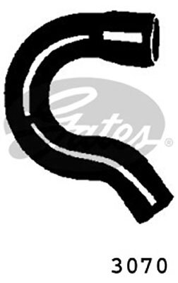 New radiator hose - radiator,