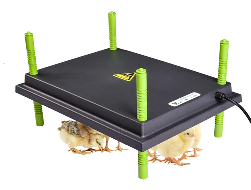 Chick brooder heat plate for - chick,