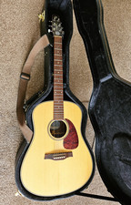 Seagull Maritime SWS Concert