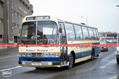 Bus photo midland bluebird b - midland,