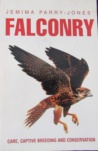 Falconry care captive - falconry:, care,