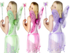 Childrens Fairy Wings + Wand