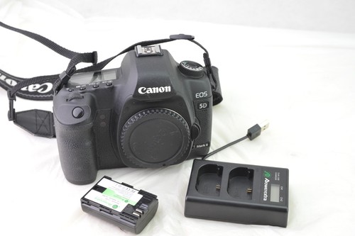 Canon eos mark 22mp dslr - 5d,