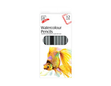 12 Pcs x Artist Watercolour