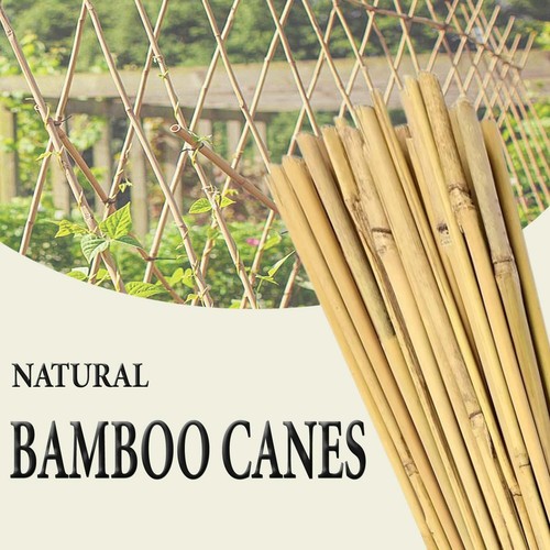 5ft heavy duty bamboo canes - duty,